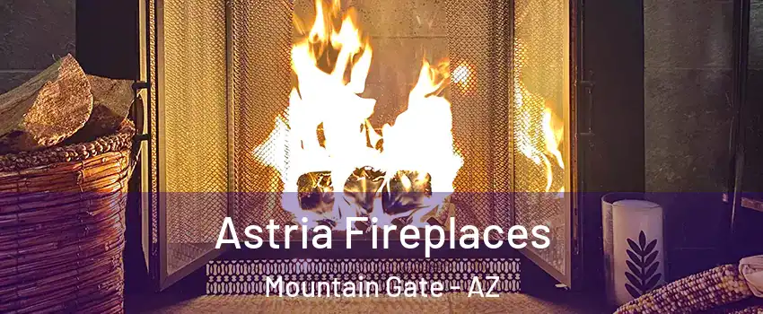 Astria Fireplaces Mountain Gate - AZ