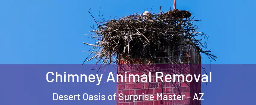 Chimney Animal Removal Desert Oasis of Surprise Master - AZ