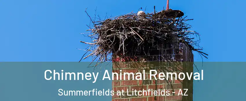 Chimney Animal Removal Summerfields at Litchfields - AZ