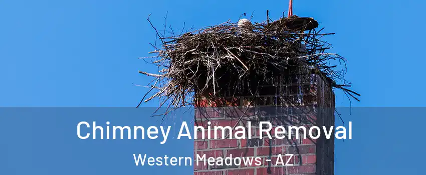 Chimney Animal Removal Western Meadows - AZ