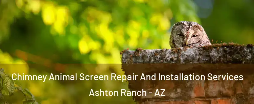 Chimney Animal Screen Repair And Installation Services Ashton Ranch - AZ