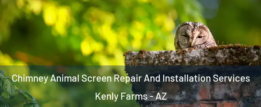 Chimney Animal Screen Repair And Installation Services Kenly Farms - AZ