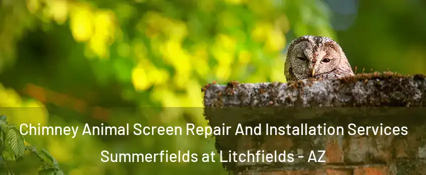 Chimney Animal Screen Repair And Installation Services Summerfields at Litchfields - AZ