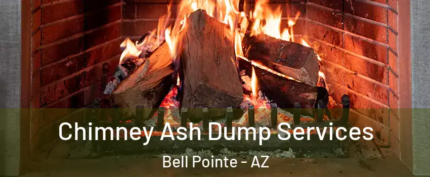 Chimney Ash Dump Services Bell Pointe - AZ