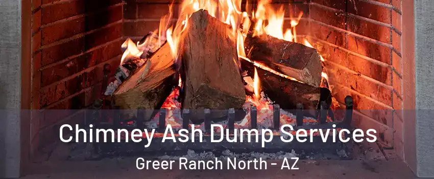 Chimney Ash Dump Services Greer Ranch North - AZ