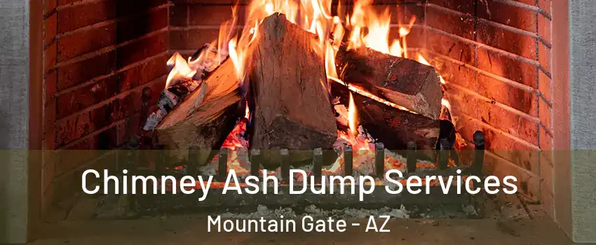 Chimney Ash Dump Services Mountain Gate - AZ