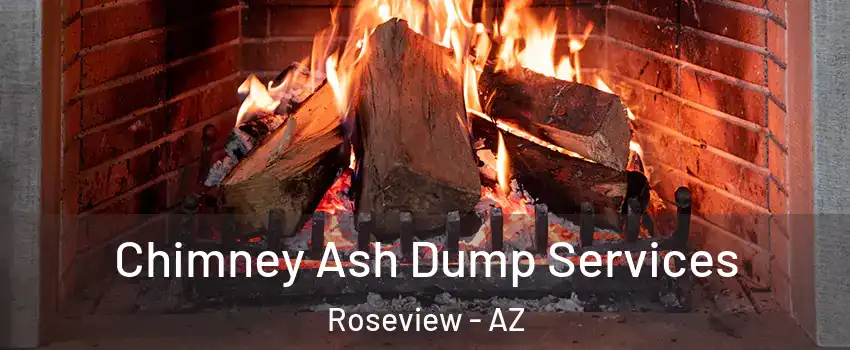 Chimney Ash Dump Services Roseview - AZ