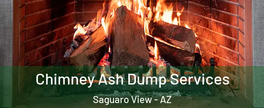 Chimney Ash Dump Services Saguaro View - AZ