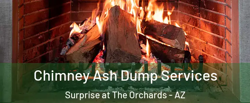 Chimney Ash Dump Services Surprise at The Orchards - AZ