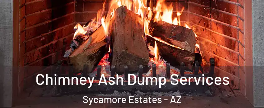 Chimney Ash Dump Services Sycamore Estates - AZ