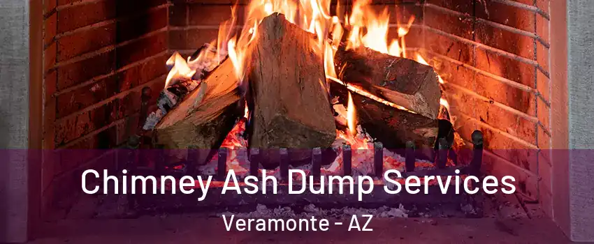 Chimney Ash Dump Services Veramonte - AZ