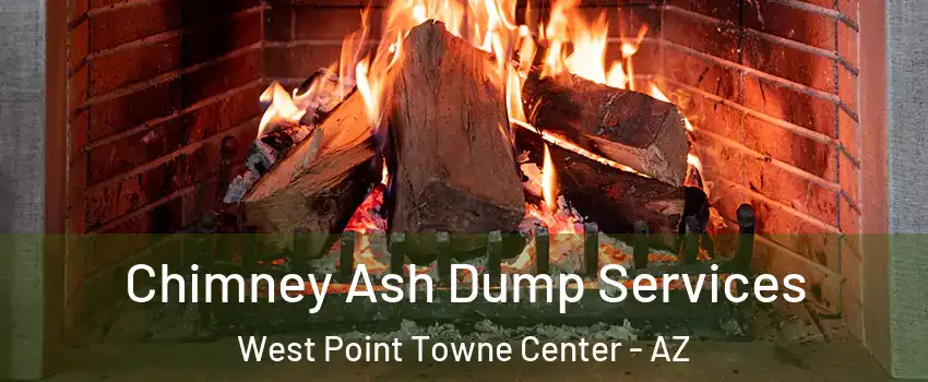 Chimney Ash Dump Services West Point Towne Center - AZ