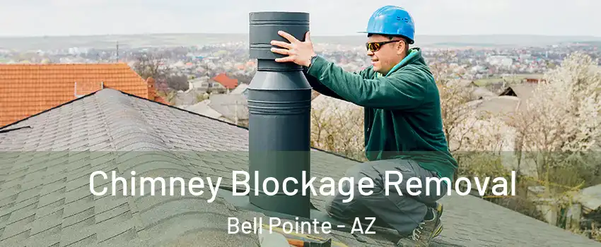 Chimney Blockage Removal Bell Pointe - AZ