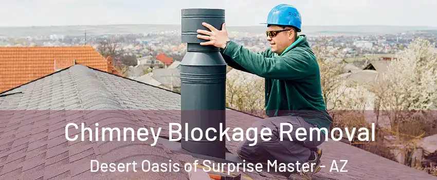 Chimney Blockage Removal Desert Oasis of Surprise Master - AZ