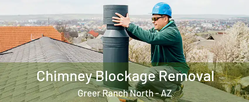 Chimney Blockage Removal Greer Ranch North - AZ