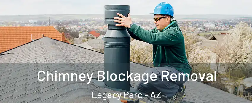 Chimney Blockage Removal Legacy Parc - AZ