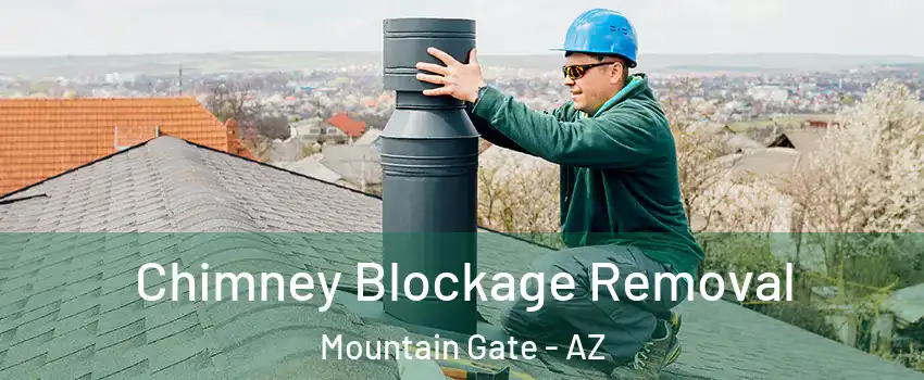 Chimney Blockage Removal Mountain Gate - AZ