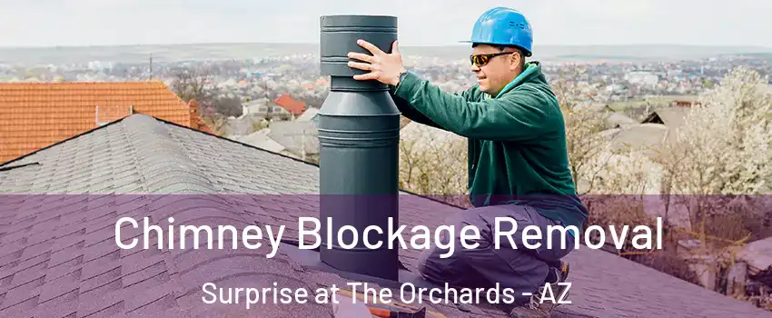 Chimney Blockage Removal Surprise at The Orchards - AZ