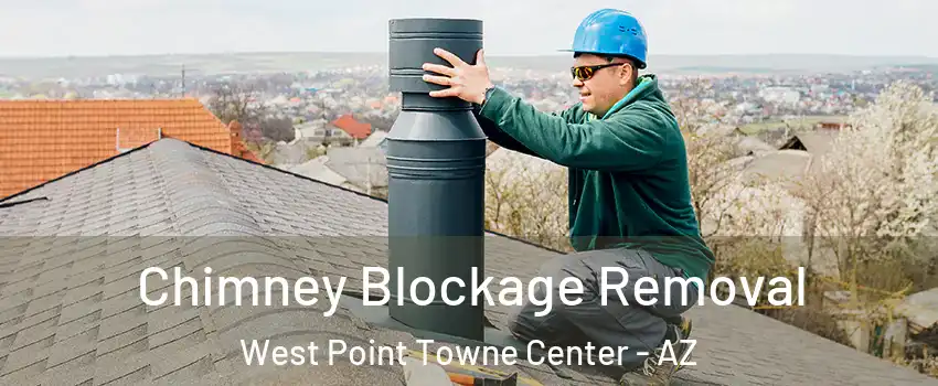 Chimney Blockage Removal West Point Towne Center - AZ