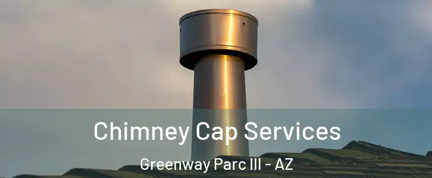 Chimney Cap Services Greenway Parc lll - AZ