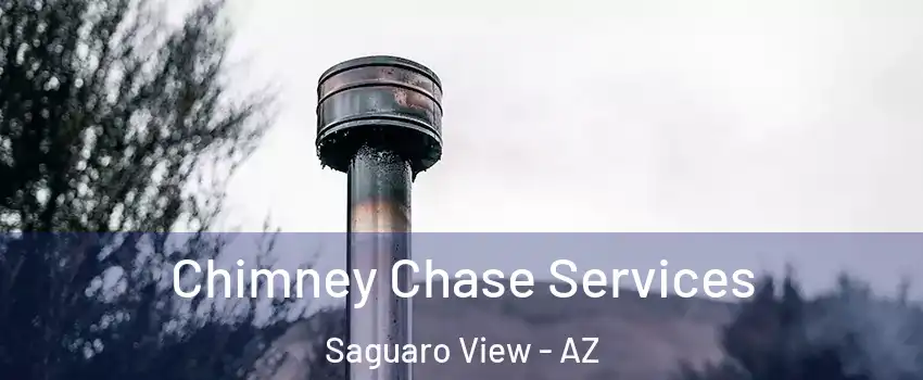 Chimney Chase Services Saguaro View - AZ