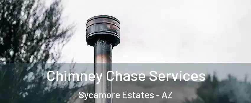 Chimney Chase Services Sycamore Estates - AZ