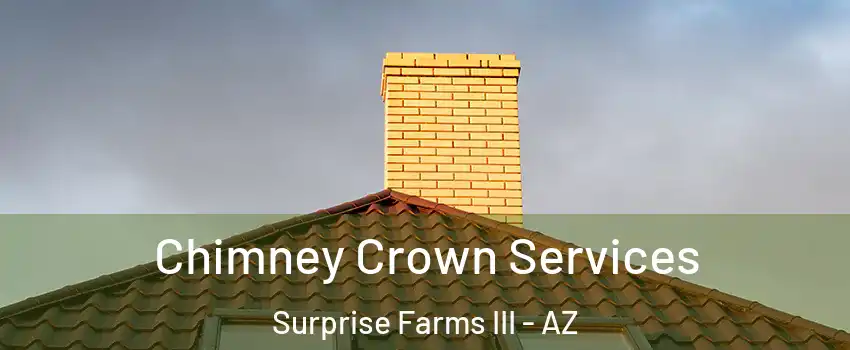 Chimney Crown Services Surprise Farms III - AZ