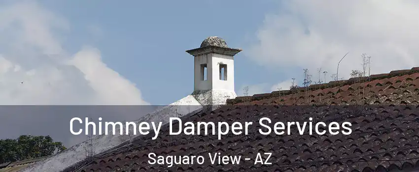 Chimney Damper Services Saguaro View - AZ
