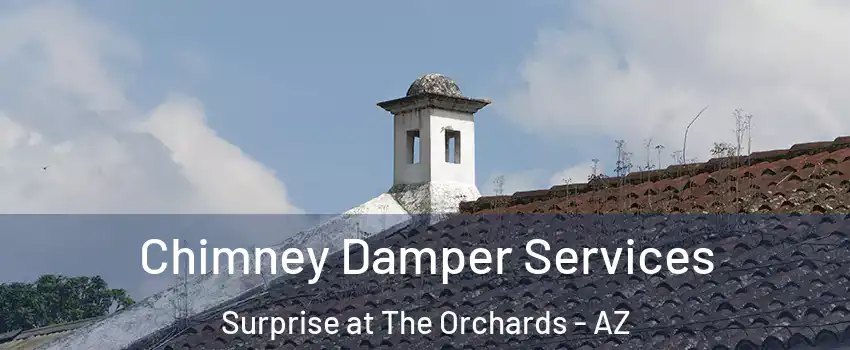 Chimney Damper Services Surprise at The Orchards - AZ