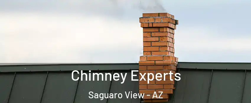 Chimney Experts Saguaro View - AZ