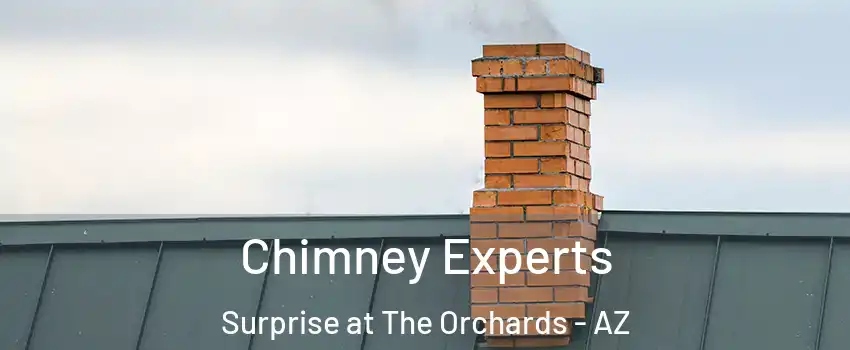 Chimney Experts Surprise at The Orchards - AZ