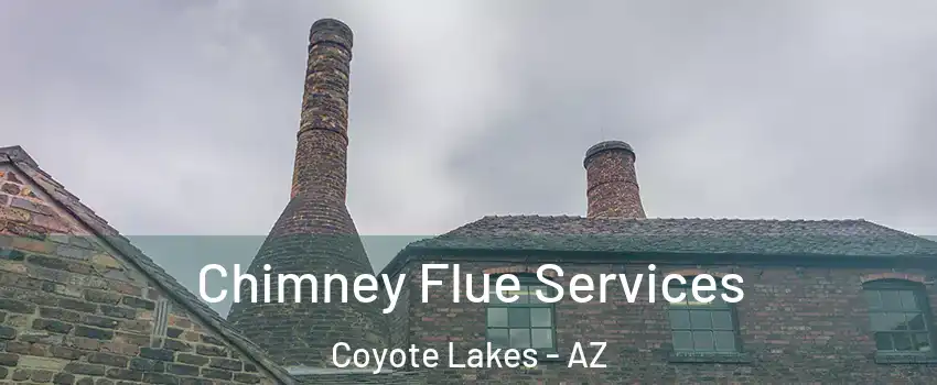 Chimney Flue Services Coyote Lakes - AZ