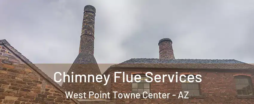 Chimney Flue Services West Point Towne Center - AZ