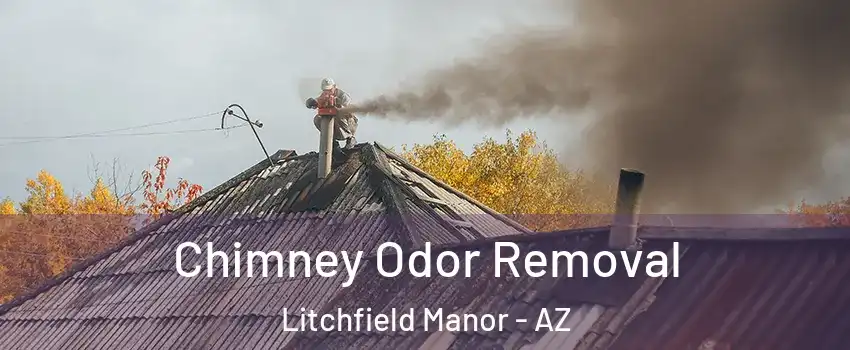 Chimney Odor Removal Litchfield Manor - AZ