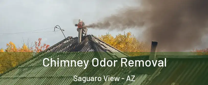 Chimney Odor Removal Saguaro View - AZ