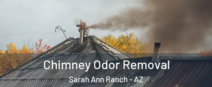 Chimney Odor Removal Sarah Ann Ranch - AZ