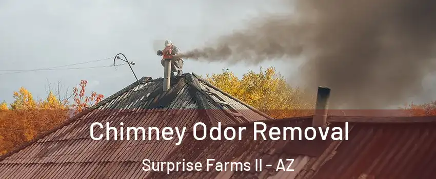 Chimney Odor Removal Surprise Farms II - AZ