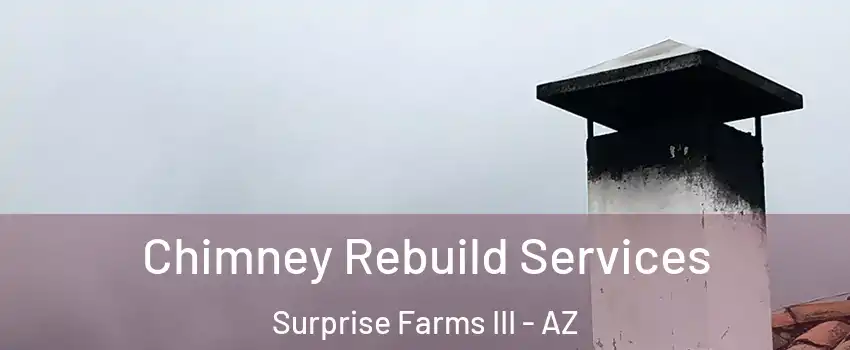 Chimney Rebuild Services Surprise Farms III - AZ