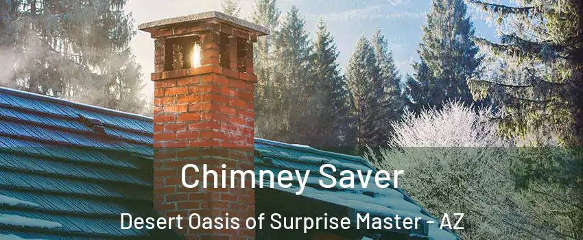 Chimney Saver Desert Oasis of Surprise Master - AZ