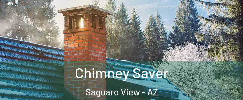 Chimney Saver Saguaro View - AZ