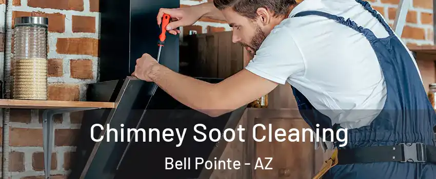 Chimney Soot Cleaning Bell Pointe - AZ