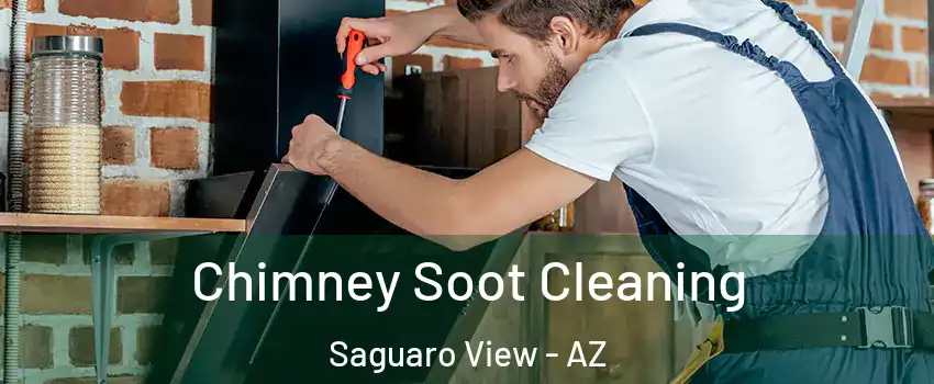 Chimney Soot Cleaning Saguaro View - AZ