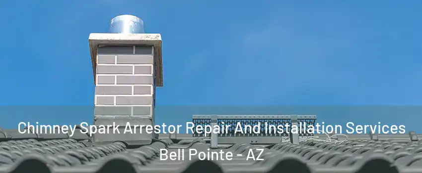 Chimney Spark Arrestor Repair And Installation Services Bell Pointe - AZ