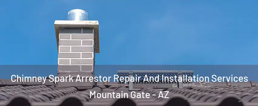 Chimney Spark Arrestor Repair And Installation Services Mountain Gate - AZ