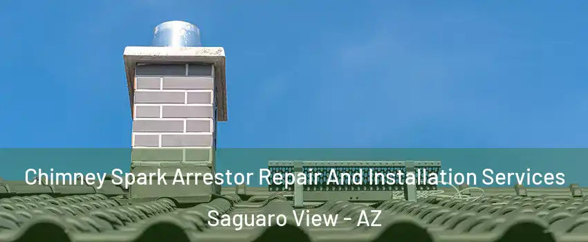 Chimney Spark Arrestor Repair And Installation Services Saguaro View - AZ