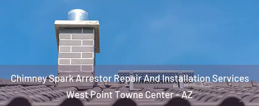 Chimney Spark Arrestor Repair And Installation Services West Point Towne Center - AZ