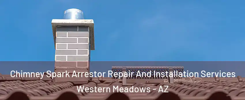 Chimney Spark Arrestor Repair And Installation Services Western Meadows - AZ