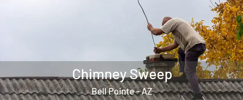 Chimney Sweep Bell Pointe - AZ