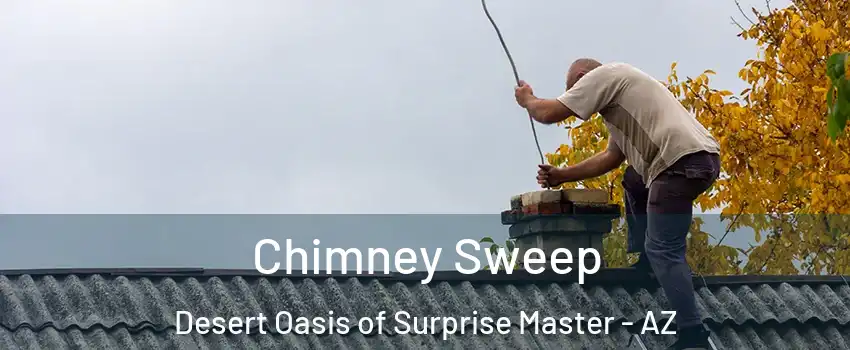 Chimney Sweep Desert Oasis of Surprise Master - AZ