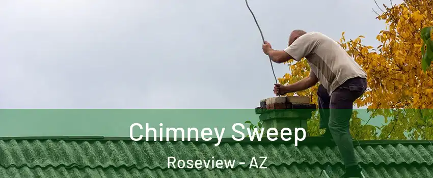 Chimney Sweep Roseview - AZ